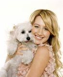 ashley tisdale nume real: ashley michelle nasterii: iulie 1985 (23 ani)zodia: raclocul nasterii: Admin